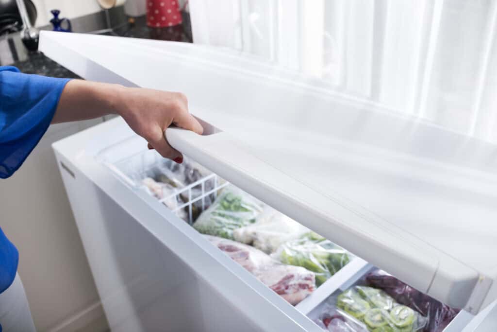 Woman hand opening a freezer door